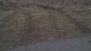 Oddział Północ SM - nielegalny wywóz odpadów