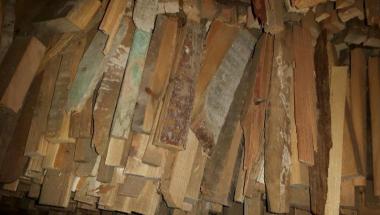 Kolejny eko-truciciel ukarany przez strażników miejskich