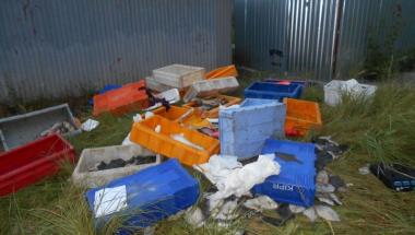 Oddział Prawobrzeże SM - porzucone ryby przy ul. Przelotowej