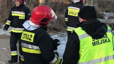 Na ratunek przymarzniętemu łabędziowi