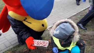 Krokusowa Rewolucja w Straży Miejskiej