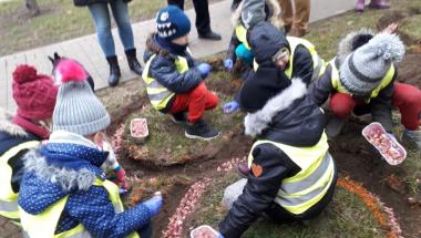 Krokusowa Rewolucja w Straży Miejskiej