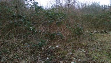 Ulica Racibora - A tak jest: