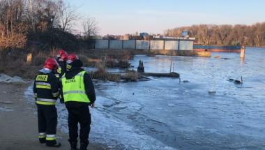 Na ratunek przymarzniętemu łabędziowi