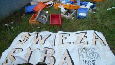 Oddział Prawobrzeże SM - porzucone ryby przy ul. Przelotowej