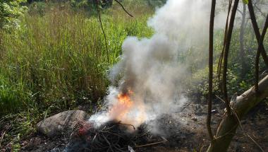 Czterej truciciele ukarani przez strażników miejskich