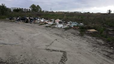Dzikie_wysypisko_3.jpg