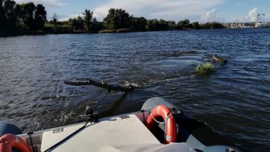 Strażnicy z Referatu Wodnego usunęli pływające przeszkody