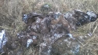Polnoc-Wywoz_odpadow-25.02_4.jpg