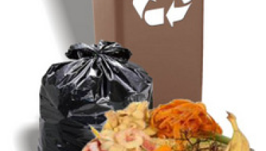 Od 1 lipca segregujemy odpady ulegające biodegradacji