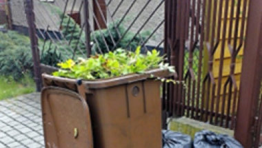 Odbiór odpadów zielonych