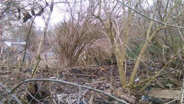 Ulica Racibora - A tak jest: