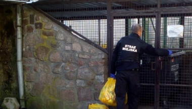 Kulisy epidemii- co robią jeszcze strażnicy miejscy?