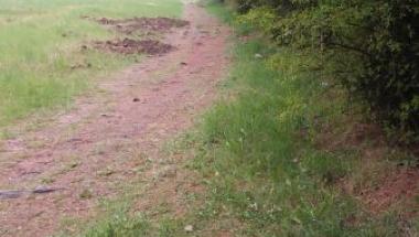 Ulica Mieszka I - A tak jest: