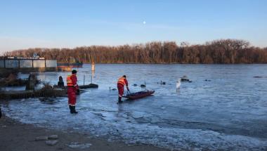 Na ratunek przymarzniętemu łabędziowi