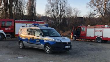 Na ratunek przymarzniętemu łabędziowi