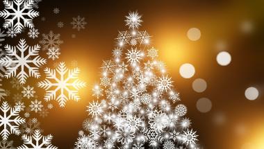christmas-tree-g9b76633d8_1920.jpg