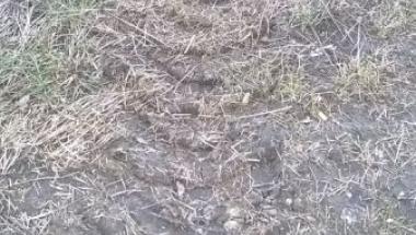 Oddział Północ SM - nielegalny wywóz odpadów