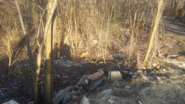 Oddział Prawobrzeże SM - potrącony lis