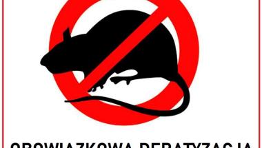 Obowiązkowa deratyzacja: strażnicy miejscy mogą sprawdzać jej przeprowadzenie