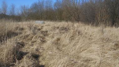 Ulica Górna - A tak jest: