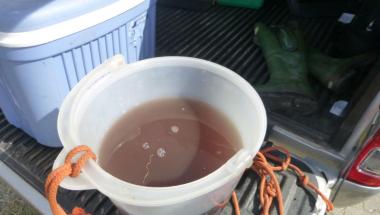 Strażnicy miejscy i Inspektorzy z WIOŚ odnaleźli sprawcę wycieku nieczystości