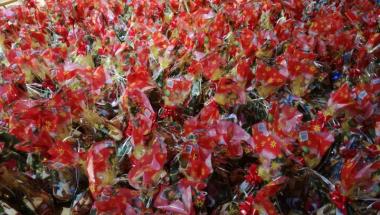 Strażniczki szkolne ...po godzinach