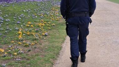 Krokusy są do podziwiania a nie deptania!
