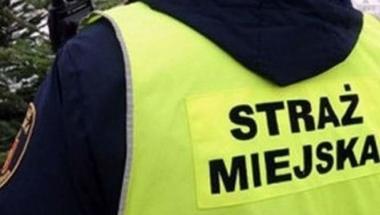 straznik.jpg